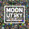 Moon Lit Sky